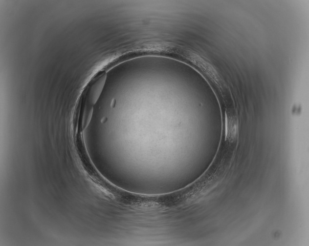 X0000097650483200802291453