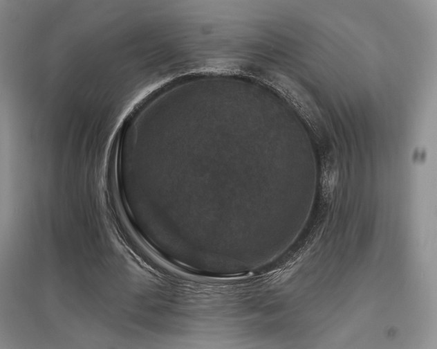 X0000097650484200802291453