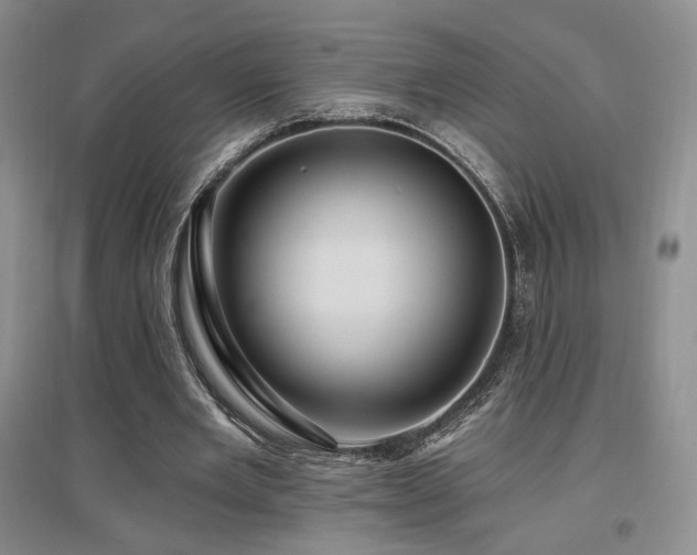 X0000097650485200802291453