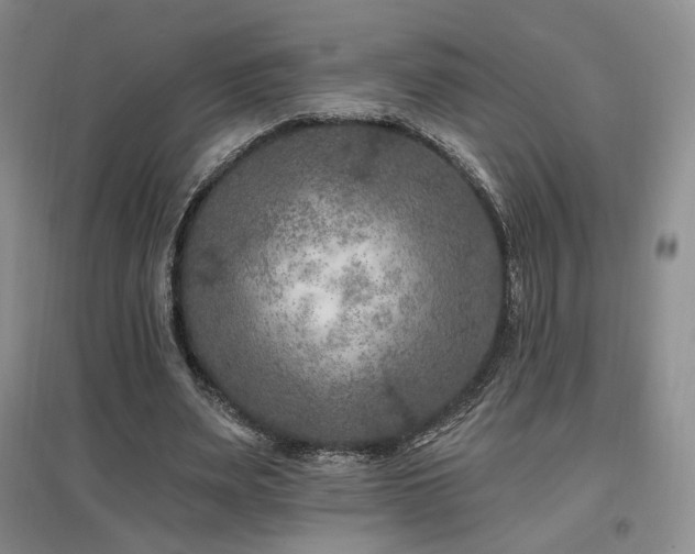 X0000097650487200802291453