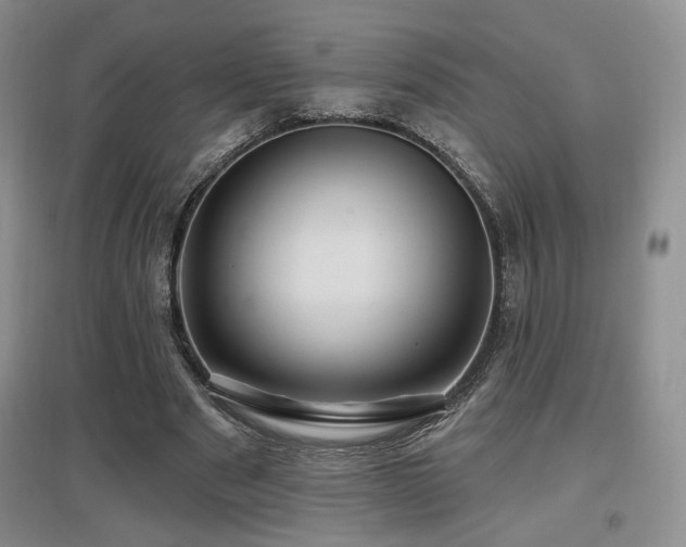 X0000097650489200802291453