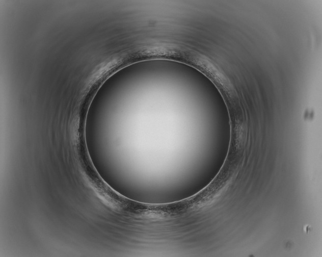 X0000097650490200802291453