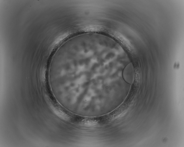 X0000097650491200802291453