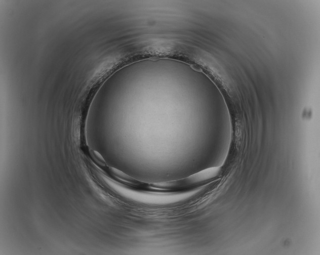 X0000097650493200802291453