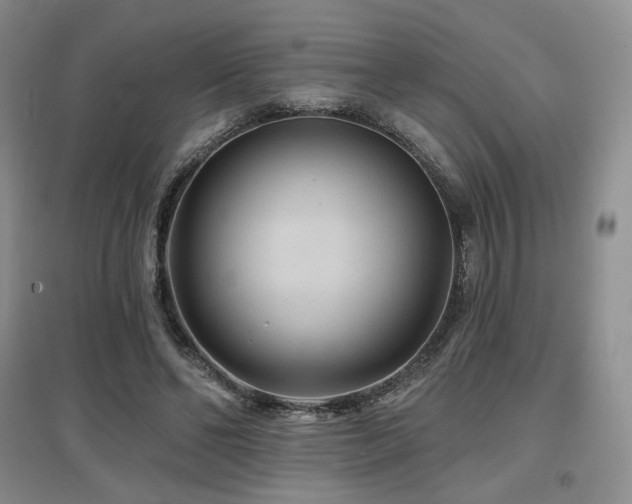 X0000097650494200802291453