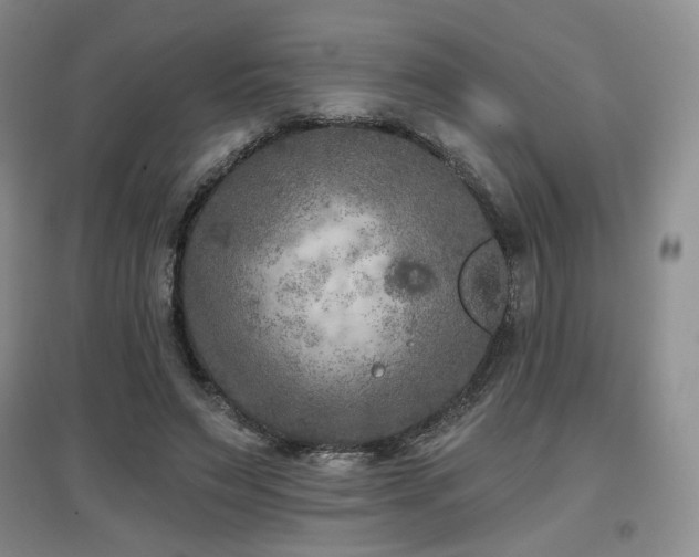 X0000097650495200802291453