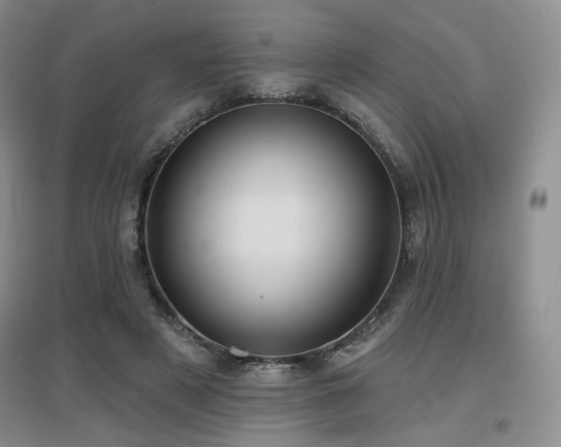 X0000097650497200802291453