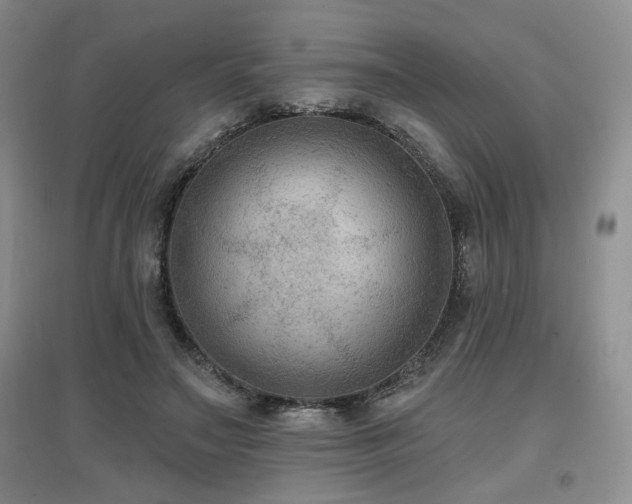 X0000097650499200802291453