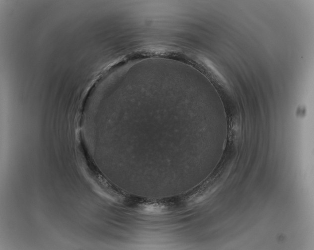 X0000097650500200802291453