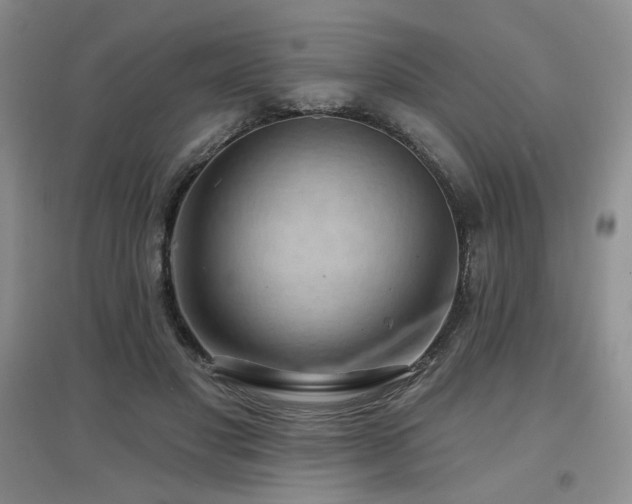 X0000097650501200802291453