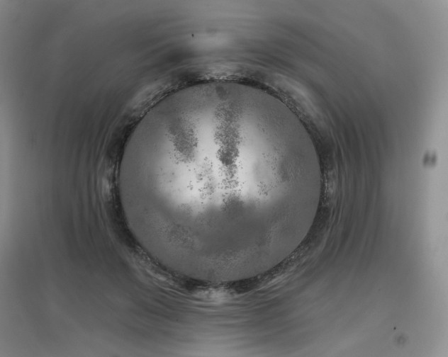 X0000097650503200802291453