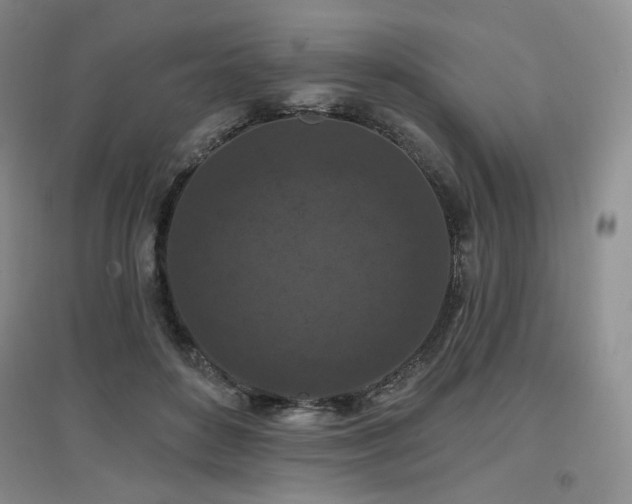 X0000097650504200802291453