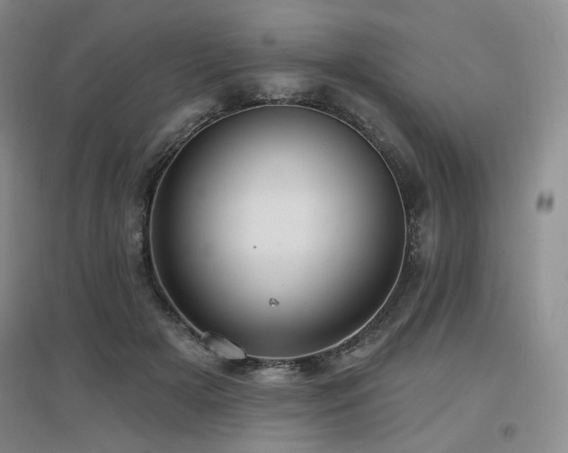 X0000097650505200802291453