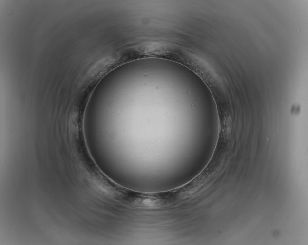 X0000097650506200802291453