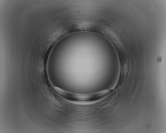 X0000097650508200802291453