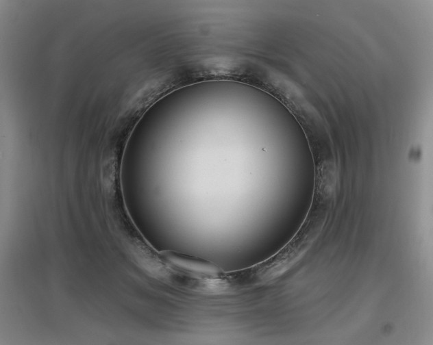 X0000097650509200802291453