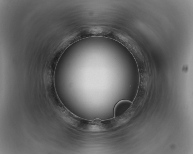 X0000097650510200802291453