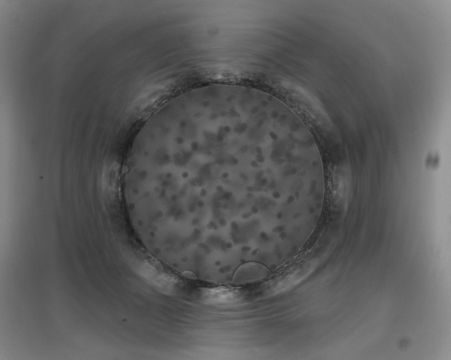 X0000097650511200802291453