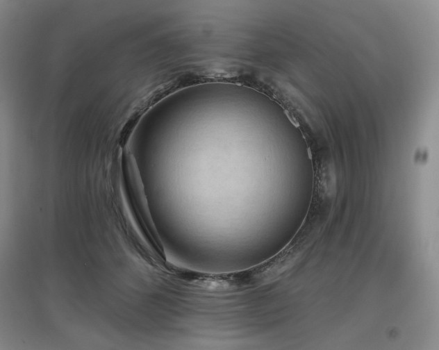 X0000097650512200802291453