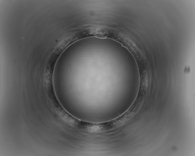 X0000097650513200802291453