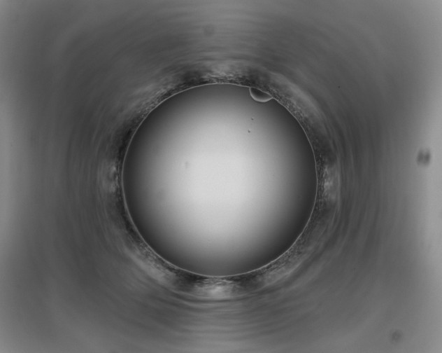 X0000097650514200802291453