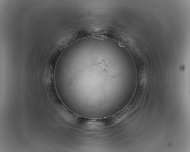 X0000097650515200802291453