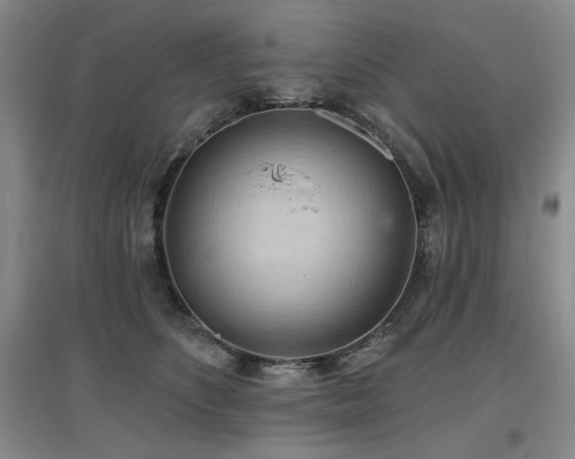 X0000097650516200802291453