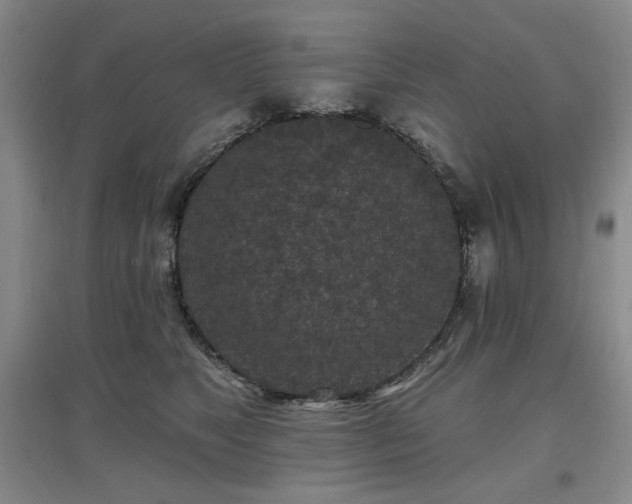 X0000097650517200802291453