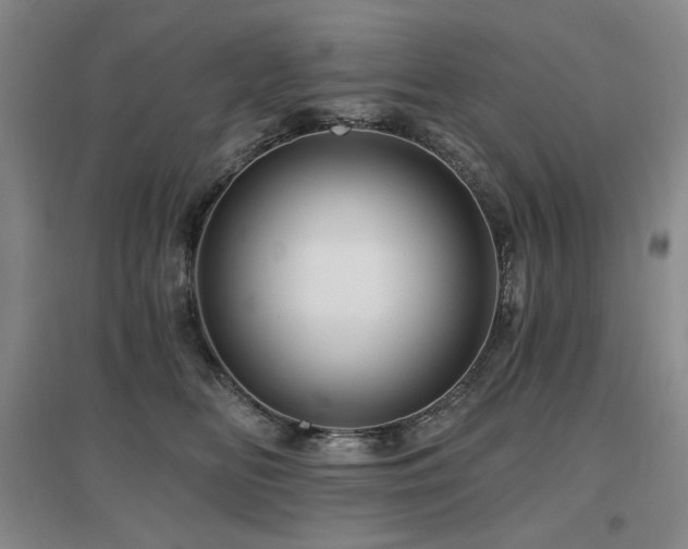 X0000097650518200802291453