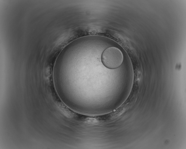 X0000097650519200802291453