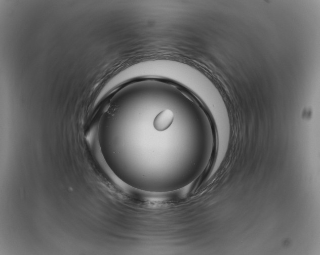 X0000097650520200802291453