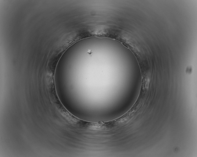 X0000097650521200802291453