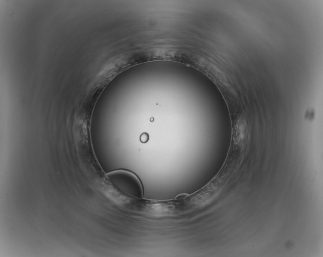 X0000097650522200802291453