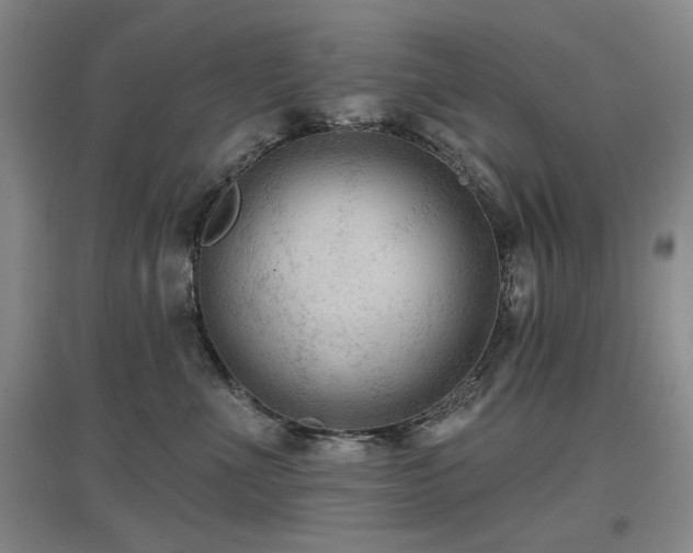 X0000097650523200802291453