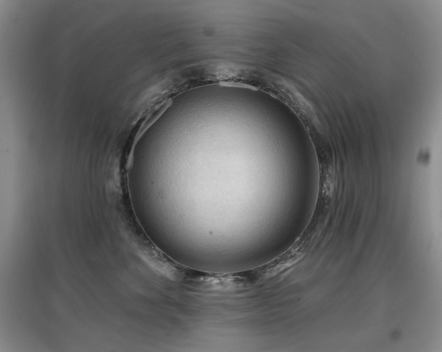 X0000097650524200802291453