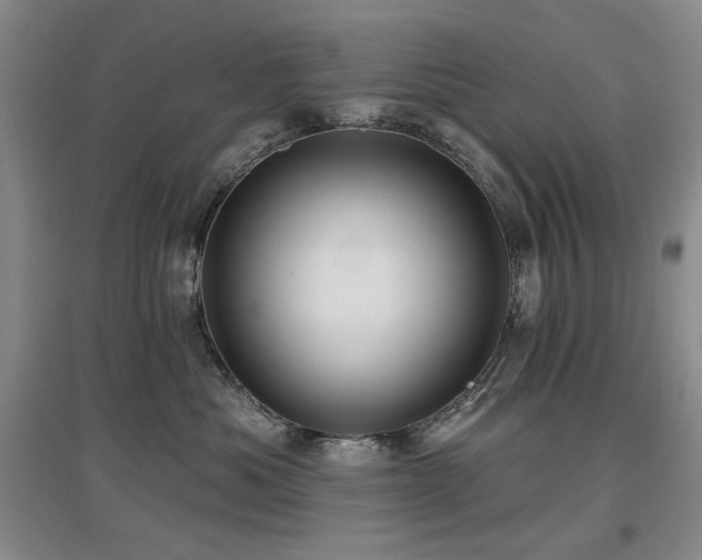 X0000097650525200802291453