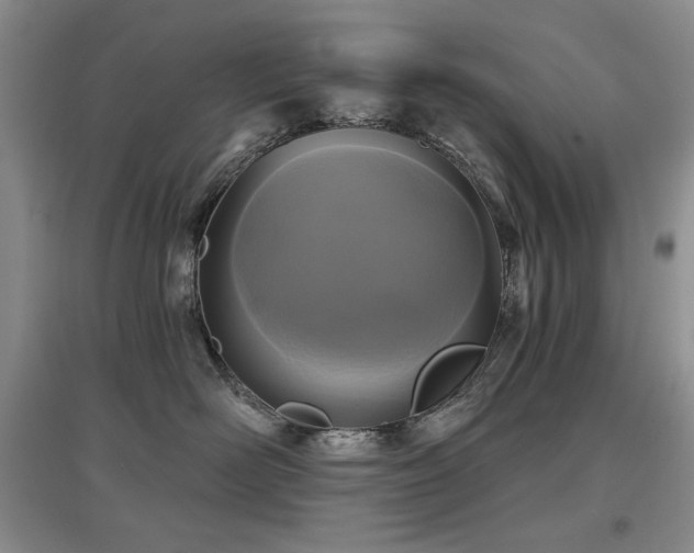 X0000097650526200802291453