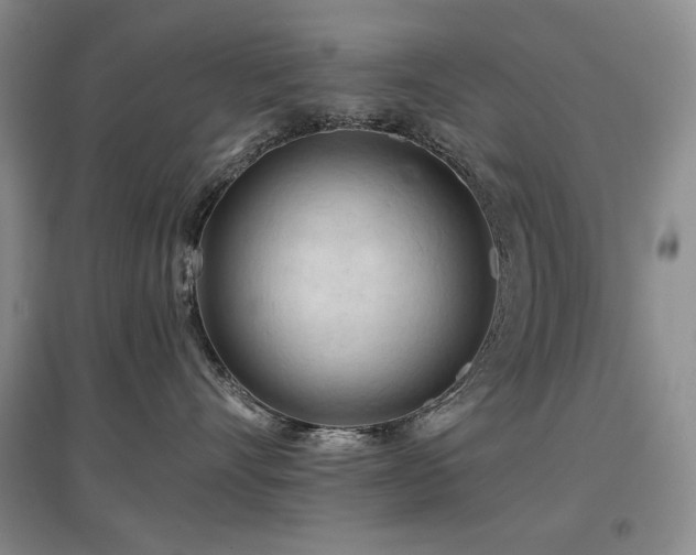 X0000097650528200802291453