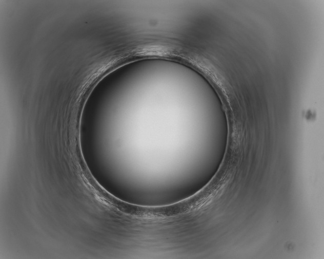 X0000097650529200802291452