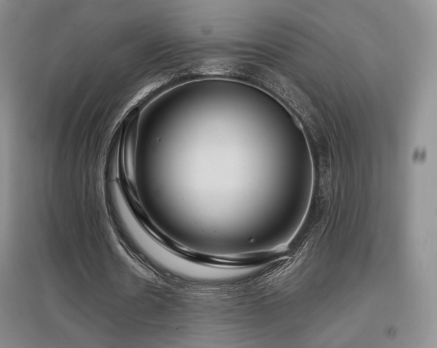 X0000097650530200802291452