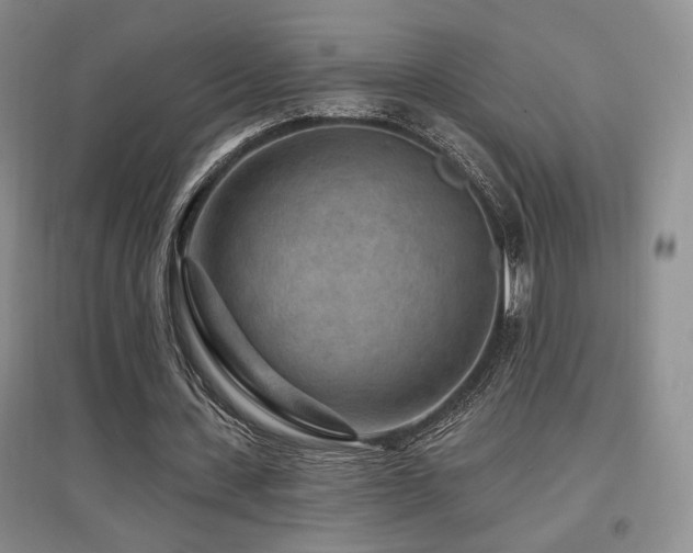 X0000097650531200802291452