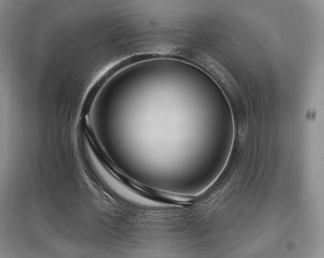 X0000097650532200802291452