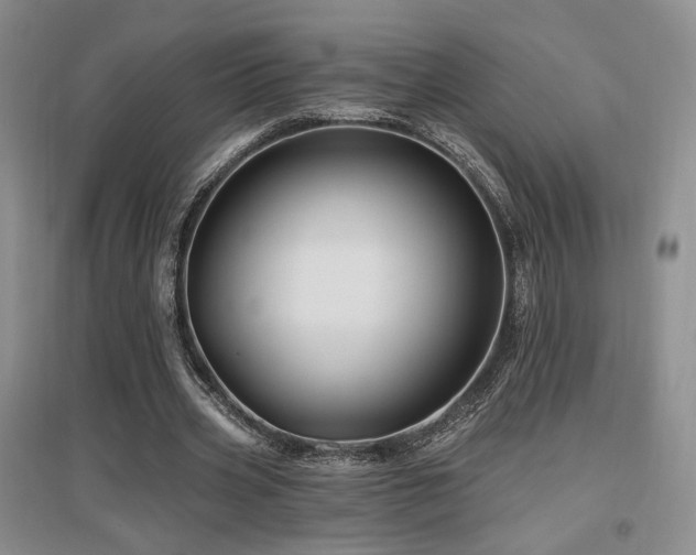 X0000097650533200802291452