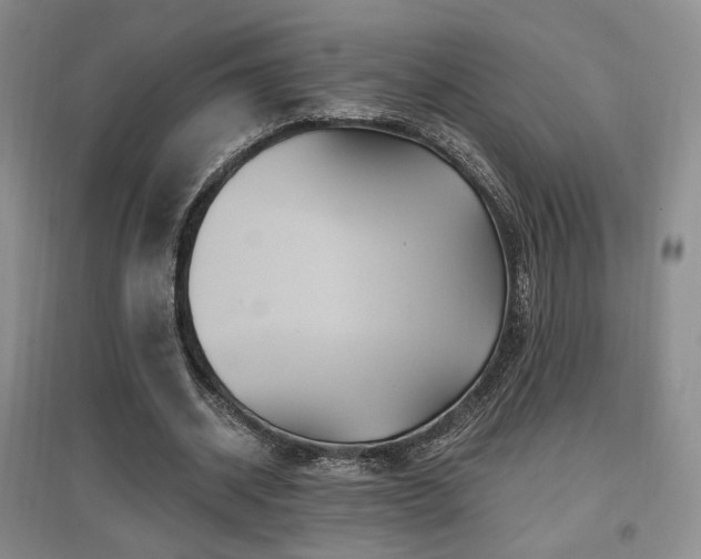 X0000097650534200802291452