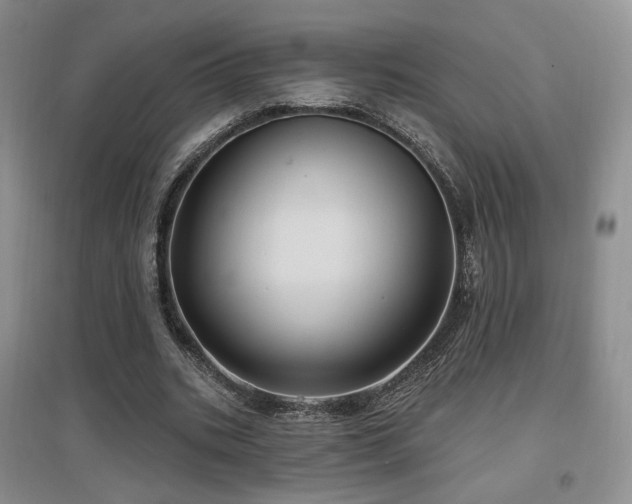 X0000097650535200802291452