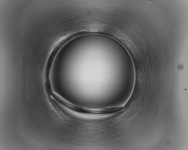 X0000097650536200802291452