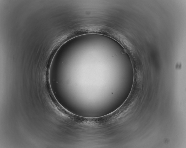 X0000097650537200802291452