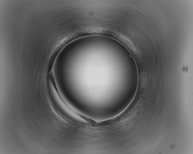 X0000097650538200802291452