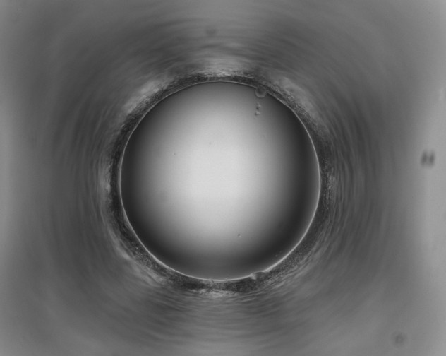 X0000097650539200802291452