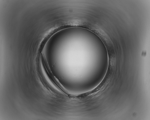 X0000097650540200802291452